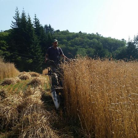 Azienda Agrituristica Risveglio Naturale Varese Ligure Εξωτερικό φωτογραφία