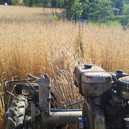 Azienda Agrituristica Risveglio Naturale Varese Ligure Εξωτερικό φωτογραφία